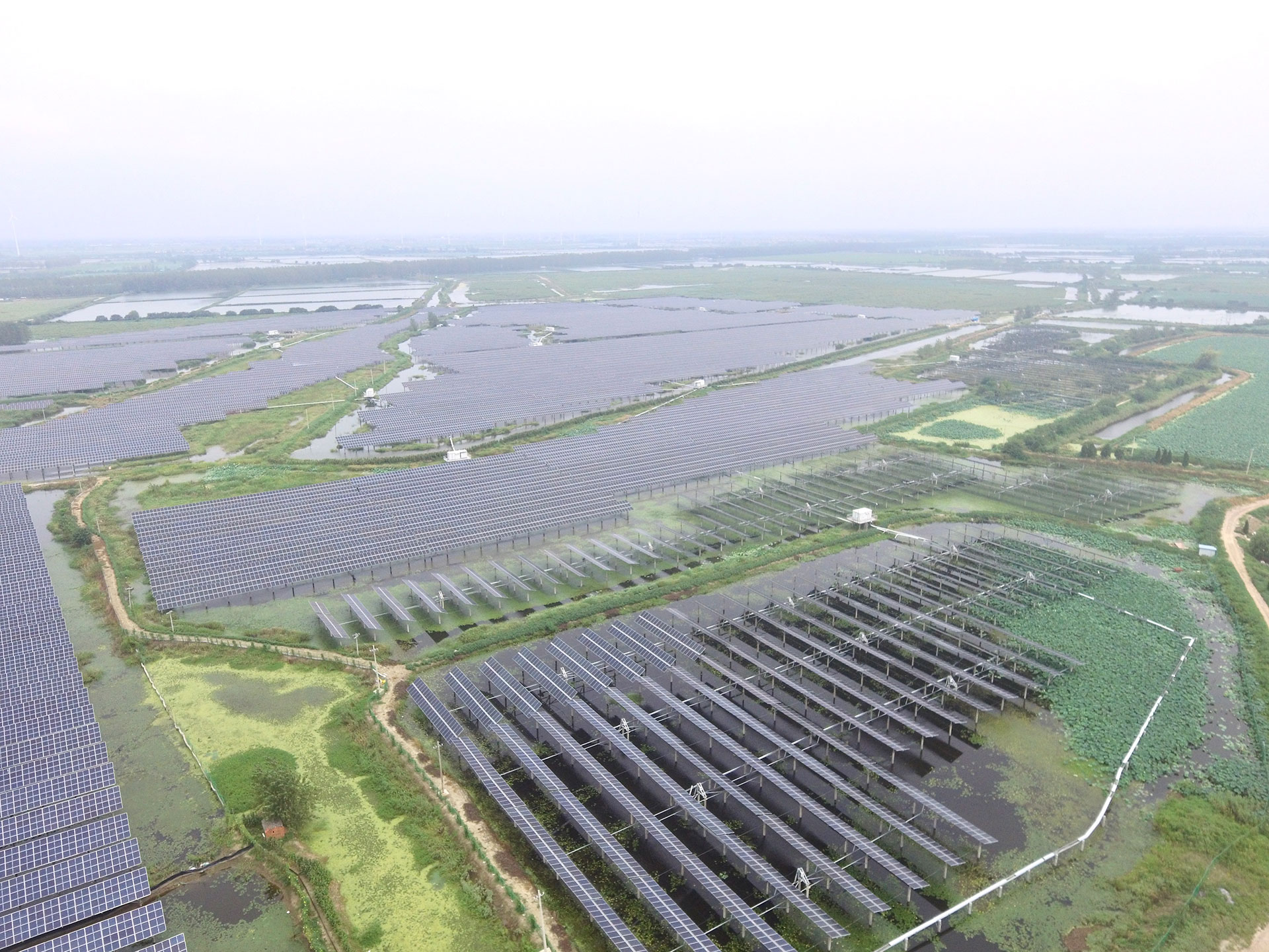 永利集团科技江苏扬州宝应光伏发电应用领跑基地2号100兆瓦项目